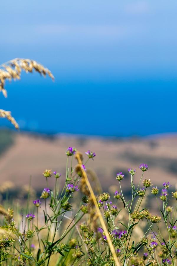 Il Panorama Housing Cilento Aparthotel Santa Maria di Castellabate Εξωτερικό φωτογραφία
