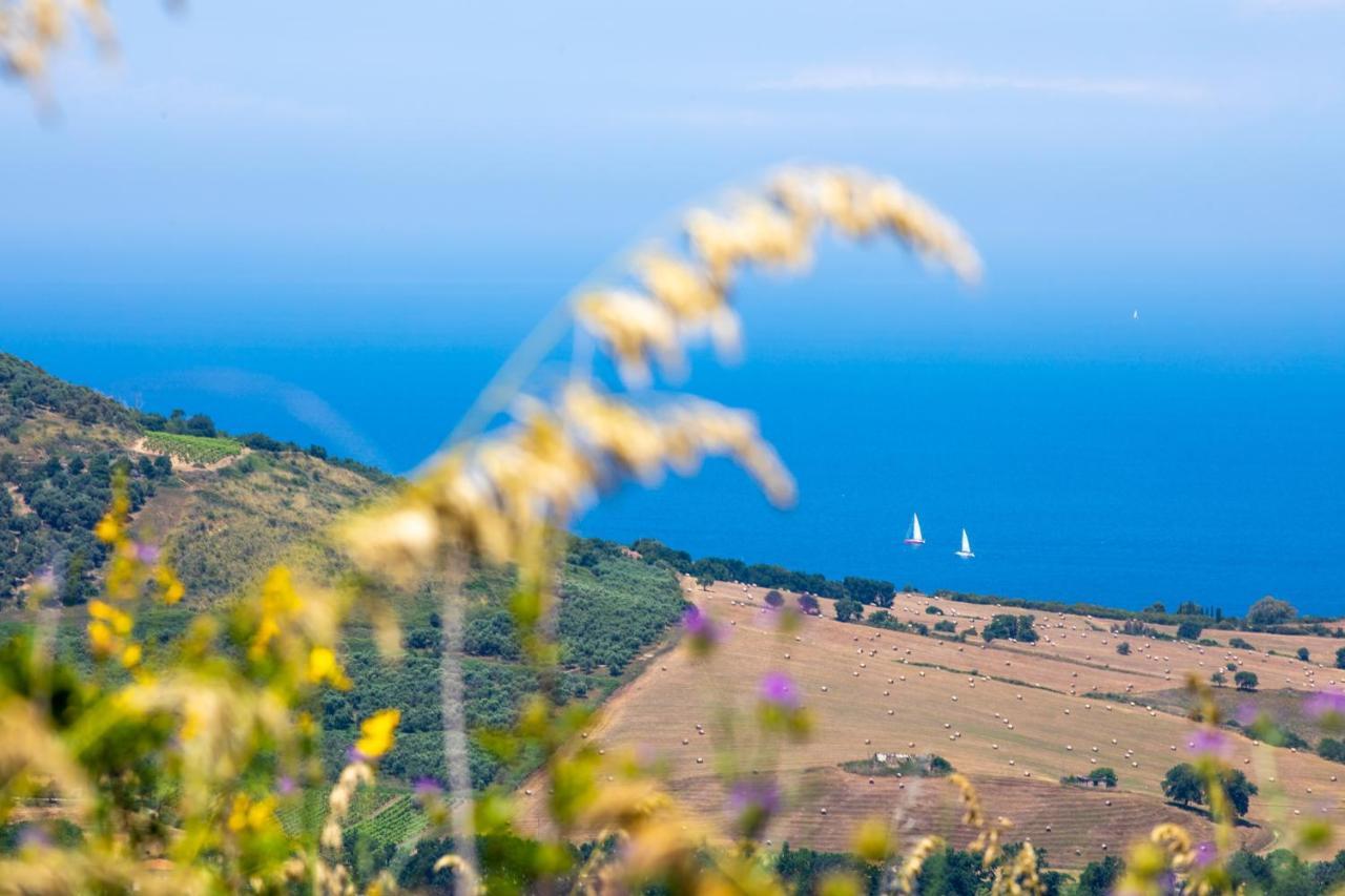 Il Panorama Housing Cilento Aparthotel Santa Maria di Castellabate Εξωτερικό φωτογραφία